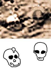 Рядом с «человеческим» черепом видна серая голова пришельца.