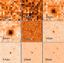 "Спитцер" работает в инфракрасном диапазоне, на длинах волн от 3 до 8 микронов (1 микрон = 1/1000 мм), вне оптического диапазона. Эта очень отдаленная галактика обнаружена на 3,6 и 4,5 микронах, ее "цвета" очень сильно смещены в сторону инфракрасного диапазона. Фото с сайта www.astro.ex.ac.uk